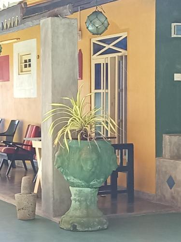 a green plant in a vase in front of a house at Praneeth Guest House in Mirissa