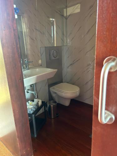 a bathroom with a sink and a toilet at Quinta do Esquilo - Hotel Rural in Rendufe