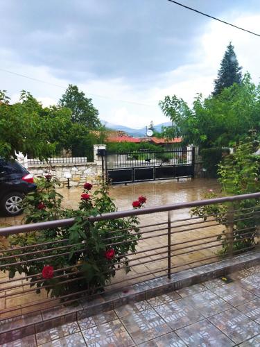 Φωτογραφία από το άλμπουμ του Village perfume στα Καλάβρυτα