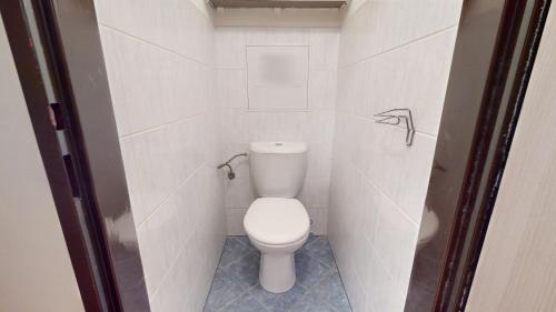een kleine badkamer met een toilet in een stal bij Apartmán Esser 2 in Milovice