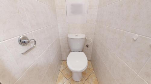 a bathroom with a white toilet in a shower at Apartmán Esser 4 in Milovice