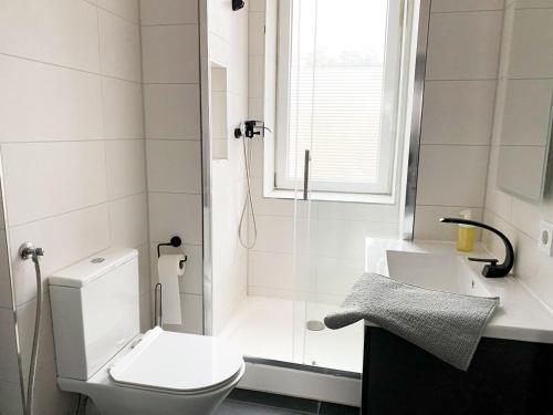 La salle de bains est pourvue d'une douche, de toilettes et d'un lavabo. dans l'établissement Cozy Apartments in Zwickau, à Zwickau