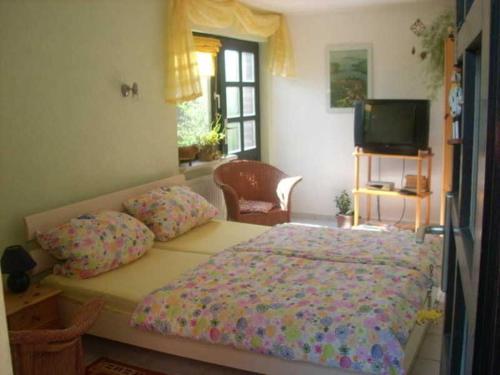 1 dormitorio con 1 cama con almohadas y TV en Ferienwohnung Ziebell, en Bollewick