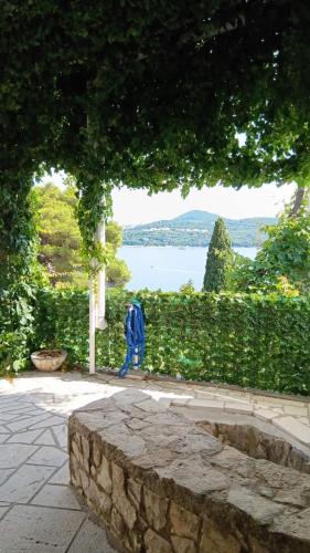 Apartment Ana Lozica with terrace