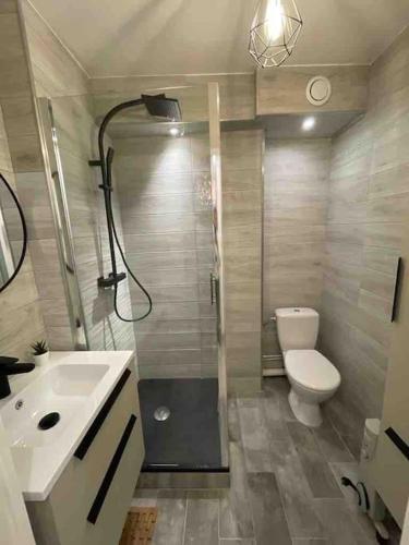 une salle de bain avec une douche, des toilettes et un lavabo dans l'établissement Appartement typeT2bis climatisé à 150m de la plage, à La Grande Motte