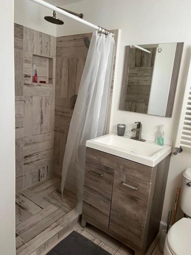 a bathroom with a sink and a shower at Beautiful 2-Bedroom, 2-Bath Townhouse in Boston
