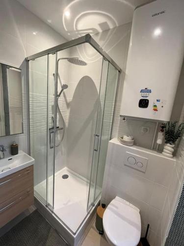 a bathroom with a shower and a toilet and a sink at Logement cosy entier in Le Kremlin-Bicêtre