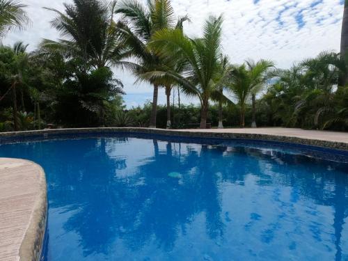 a large blue swimming pool with palm trees in the background at OCEAN OASIS HOTEL - adult only, four casitas boutique resort in Playa Agua Blanca
