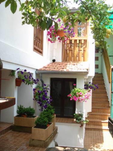 Apartamento Flor de Luna