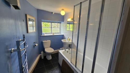 a bathroom with a shower and a toilet and a sink at Corner Cottage in Saint Mawes