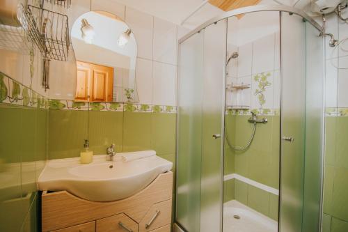 a bathroom with a sink and a shower at Vidra Park in Sicasău