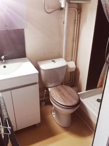 a small bathroom with a toilet and a sink at Le petit soleil in Lamalou-les-Bains