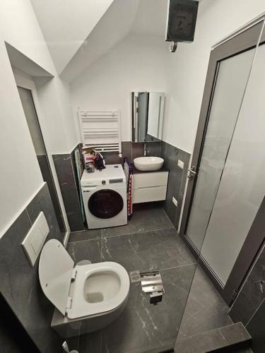 a bathroom with a toilet and a sink and a shower at Comfy & Cozy Apartment 3 in Rădăuţi