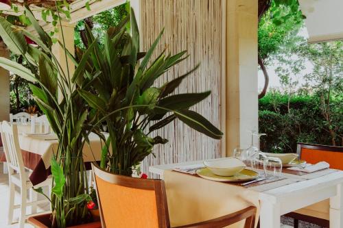 Zahrada ubytování Masseria L'Uliveto Agri Resort