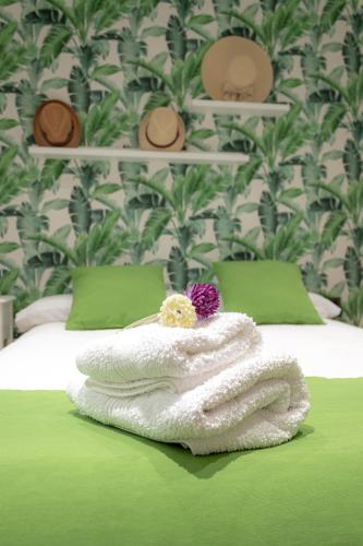 Zenete Terral Málaga