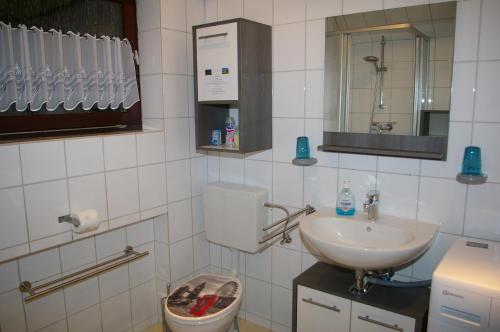 a bathroom with a sink and a toilet and a mirror at Ferienhaus Mitteldeich in Butjadingen