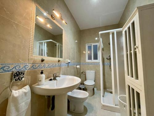 een badkamer met een wastafel, een toilet en een douche bij Apartamento Almogávares in Córdoba