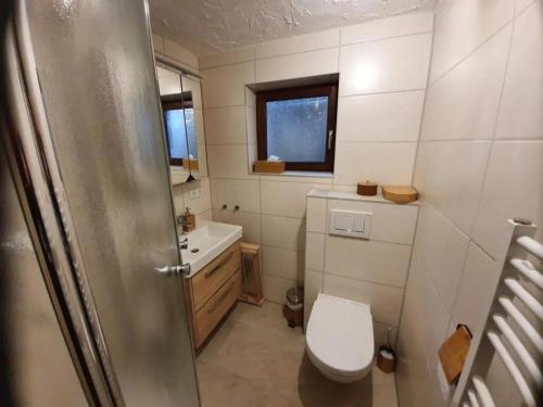 a small bathroom with a toilet and a sink at Apartment Bella Petit in Rinderbügen