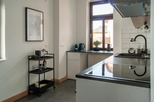 een keuken met een wastafel en een aanrecht bij Große familienfreundliche Wohnung in Dresden in Dresden