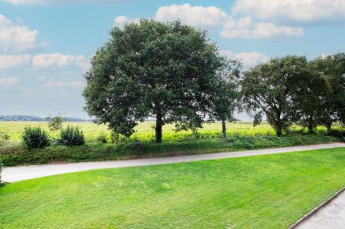a path through a field with trees and grass at Hotel Restaurant Eeserhof in Ees