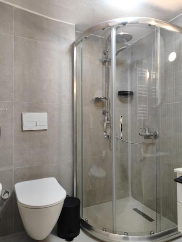 a bathroom with a glass shower with a toilet at Fantastic Studio in Ortakoy Daire 1 in Istanbul