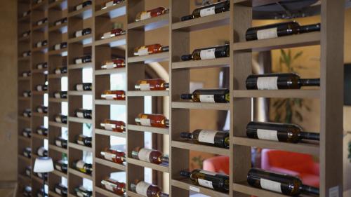 ベオグラードにあるGarni Hotel Chicha - Winery ŠKRBIĆのギャラリーの写真