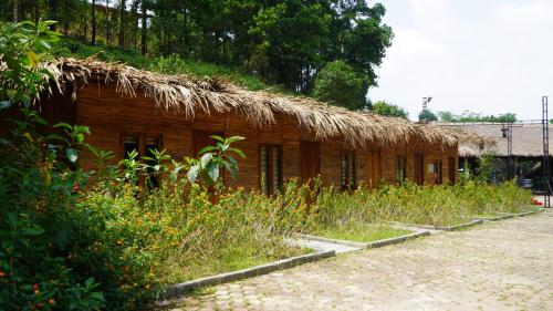 a building with a straw roof and some tall grass at Thai Hai Village - Bản làng Thái Hải 