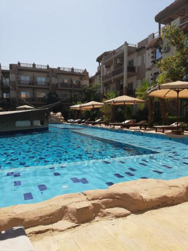 a large swimming pool with chairs and umbrellas at Jungle sweet Home Compound in Hurghada
