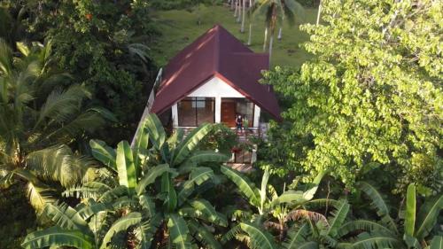 Un jardín fuera de 4 Bedrooms Guesthouse with Pool and Mangrove Park