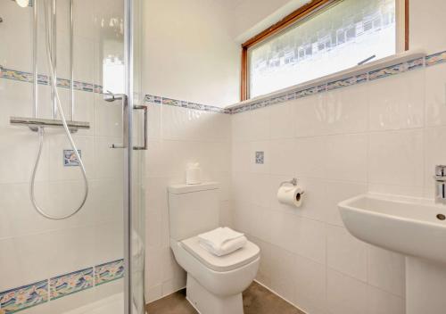 La salle de bains est pourvue de toilettes, d'un lavabo et d'une douche. dans l'établissement Trezego, à Saint Minver