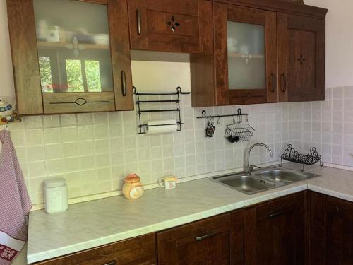 a kitchen with wooden cabinets and a sink at Villa La Faggetina in Gambarie dʼAspromonte