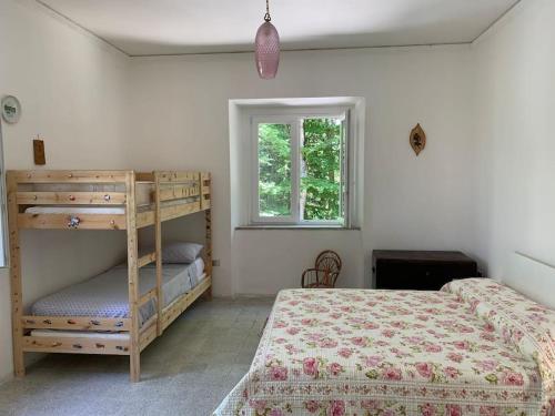a bedroom with two bunk beds and a window at Villa La Faggetina in Gambarie dʼAspromonte