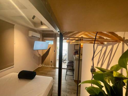a room with a bed and a tv and a plant at Unique studio with balcony near old town in Cartagena de Indias