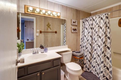 ein Bad mit einem Waschbecken, einem WC und einer Dusche in der Unterkunft Beech Mountain Condo with Community Pool and Game Room in Beech Mountain