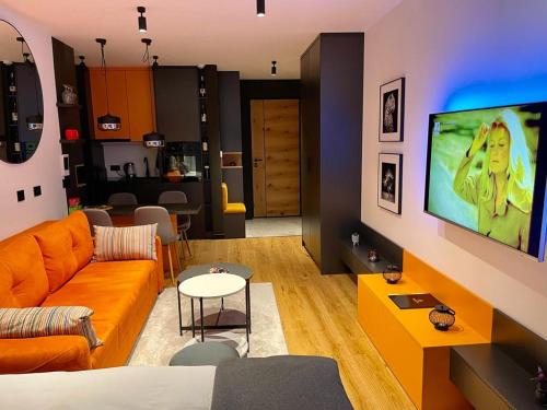 a living room with a couch and a tv at NA STAZI-Luxury Mountain- on the ski slope-Free parking,Tuzlaks apartment in Bjelašnica
