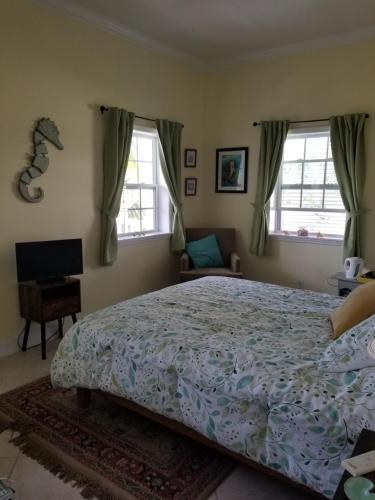1 dormitorio con 1 cama grande y 2 ventanas en Lakeview bed & breakfast, en Freeport