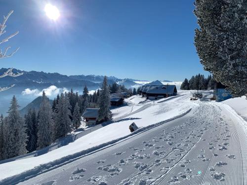 eine schneebedeckte Piste mit einer Skihütte und Bäumen in der Unterkunft Rigi-Scheidegg Ferienwohnungen West XL in Vitznau