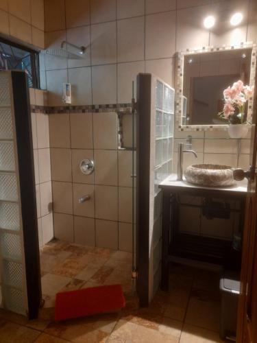 a bathroom with a shower with a sink and a mirror at Coyaba Tropical Elegant Adult Guesthouse in Manuel Antonio