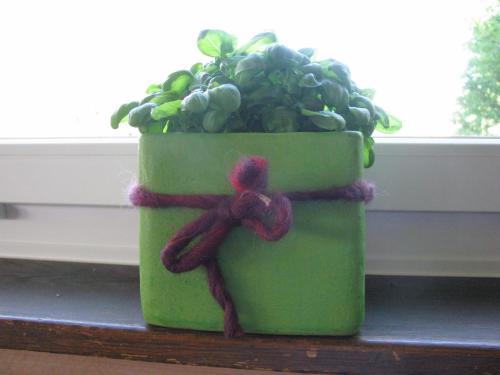 a green planter with a plant in a window at Zimmer & z'Morgä Schönenboden in Wildhaus