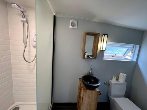 een badkamer met een wastafel, een toilet en een douche bij Henley Garden Studio in Henley on Thames