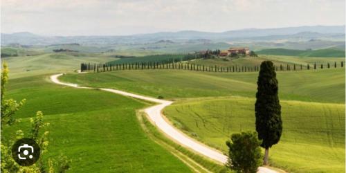 a winding road in a green field with a tree at La Sosta - intero appartamento in Ponte dʼArbia