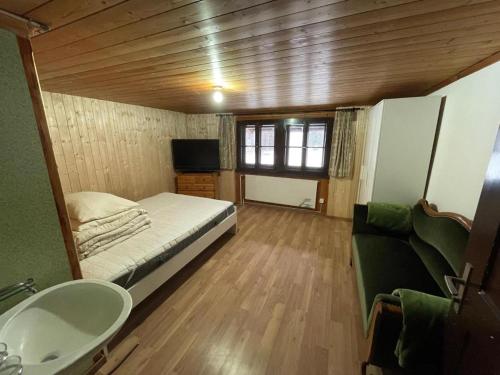 a bedroom with a bed and a sink and a television at Ferienwohnung Rigi-Scheidegg Ost in Goldau