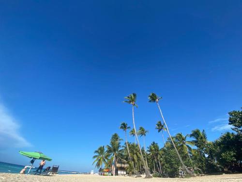 a group of palm trees on a sandy beach at B&B Villa Luna in Bayahibe