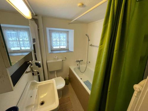 uma casa de banho com uma cortina de chuveiro verde e um lavatório. em Ferienwohnung Rigi-Scheidegg Ost em Goldau