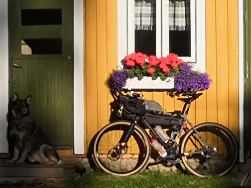 a bike parked in front of a house with flowers at Suopirtti bed & breakfast in Konnevesi