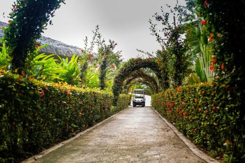 a white van driving down a path in a garden at Hotel Villa Mercedes Palenque in Palenque