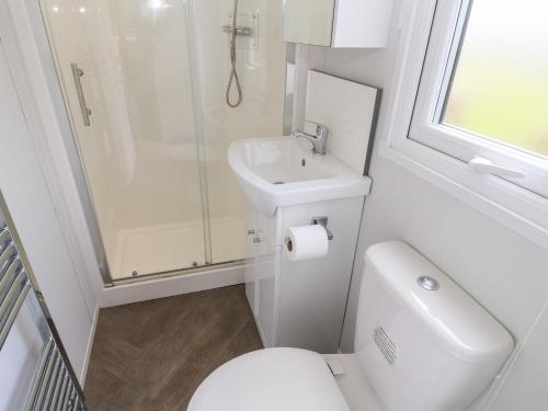 a bathroom with a toilet and a sink and a shower at Coverdale Large Pod in Yarm