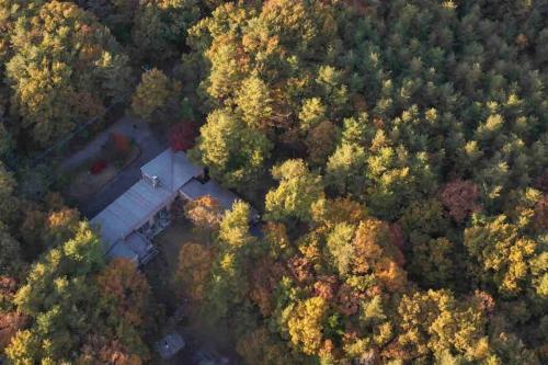 an aerial view of a park in the middle of a forest at Private Villa J プライベートヴィラJ in Narusawa