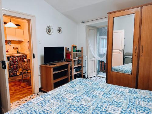 a bedroom with a bed and a television in it at House Scanno centro storico in Scanno