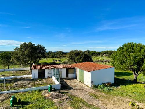 a small white house in a field with trees at Tapada dos Ribeiros in Alpalhão